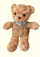 Osito Teddy