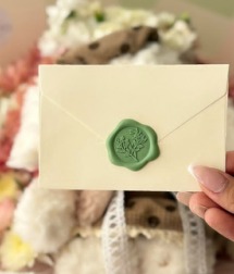 Sobre de carta